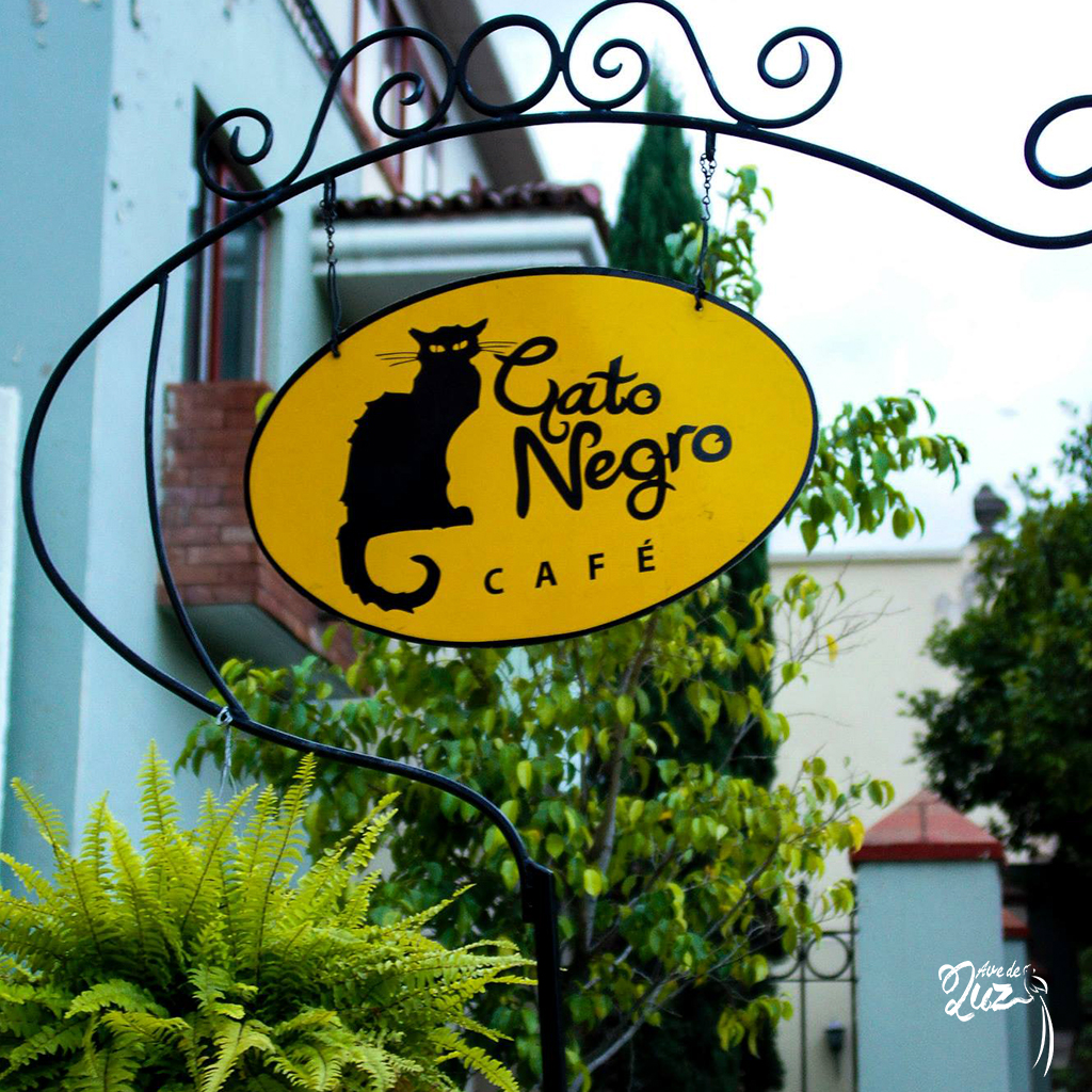 Café Gato Negro - Ave de Luz